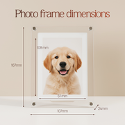 Digital Photo & Video Frame By Ruvier