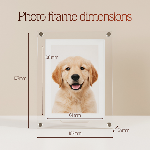 Digital Photo & Video Frame By Ruvier